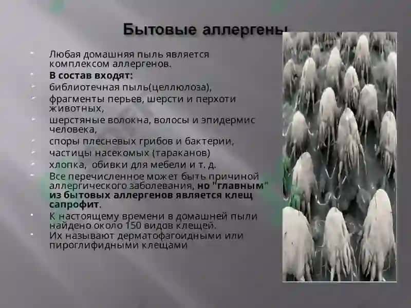 Allergologiyada tekshirish usullari 8