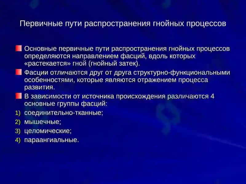 Клиническая анатомия (ОХТА) 8