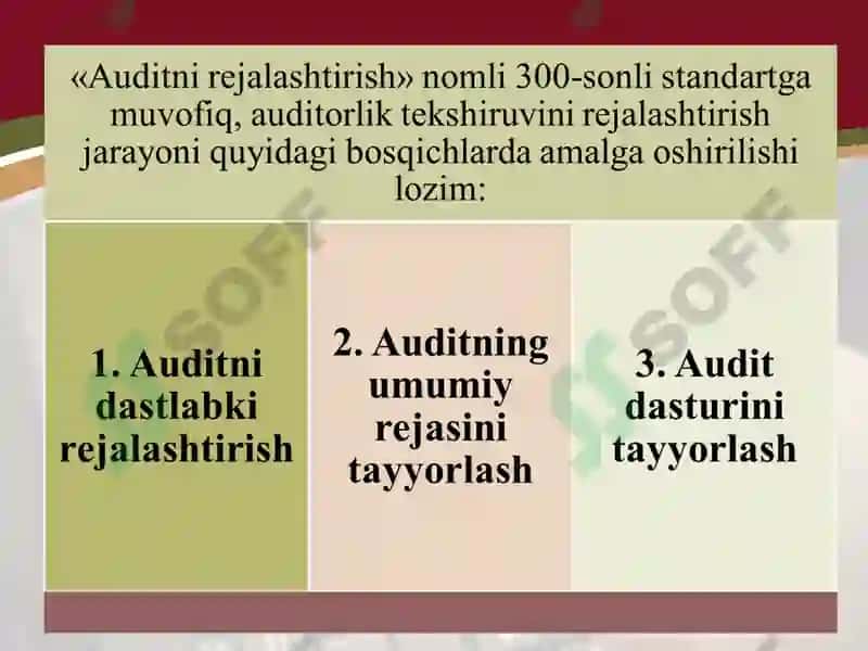 Auditorlik tekshiruvini rejalashtirish 8