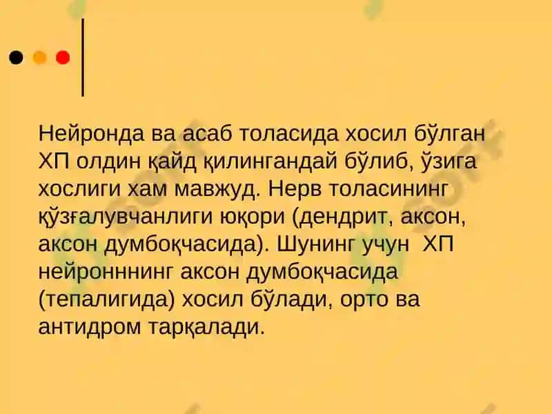 Асаб толаларининг ва синапсларнинг физиологияси 8