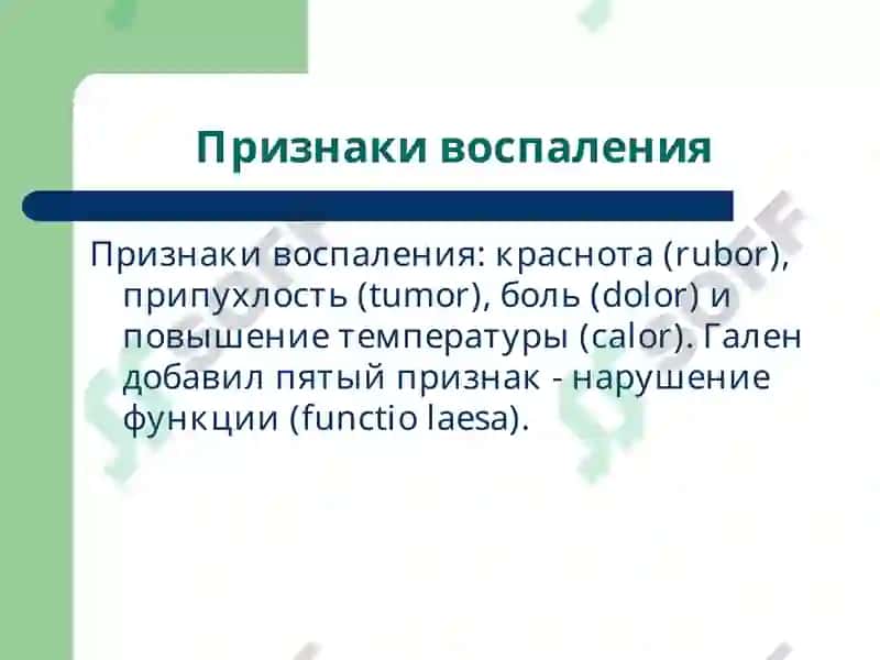 Патофизиология воспаления, лекция 3 8
