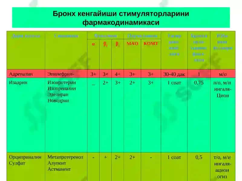 Бронхларни кенгайтирувчи вабалгам кучирувчи дори воситалари клиник фармакологияси 8
