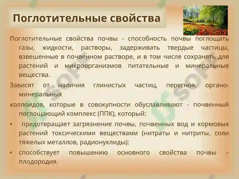 Гигиена почвы 8