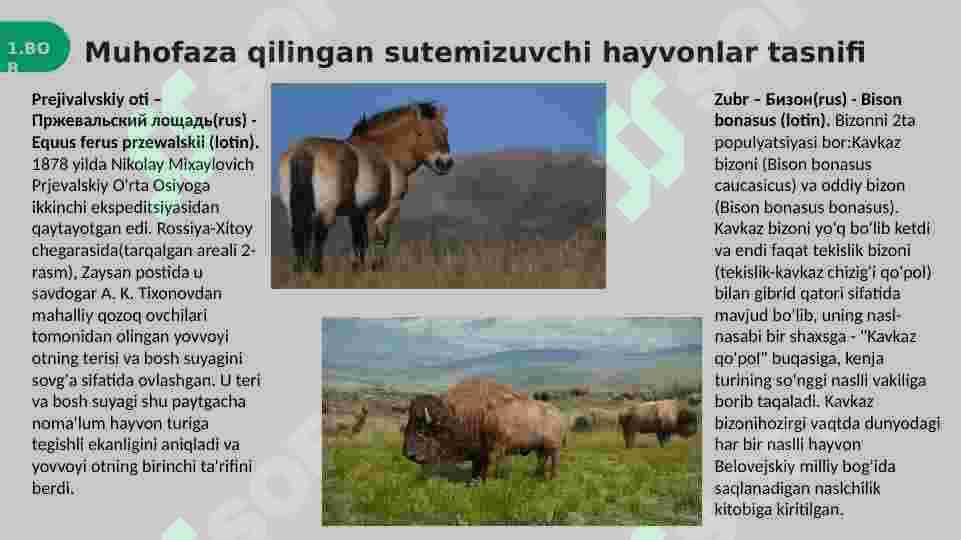 Sutemizuvchilar sinfi 4