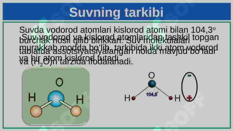 SUV MURKKAB MODDA 4