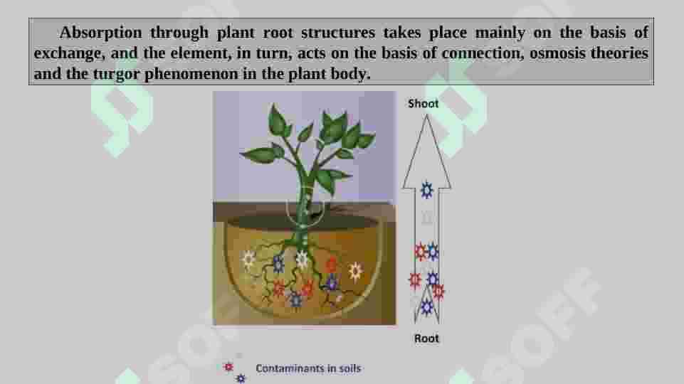 Bioremediation occurs by selection, because each living organism needs a particular element or group of elements. 2