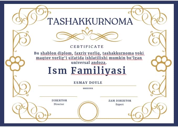 TASHAKKURNOMA shablon tayyori andoza 1