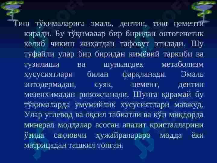 Тиш қаттиқ ва юмшоқ  тўқимаси биокимёси 4