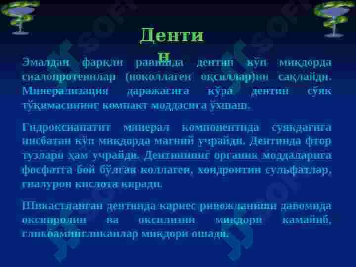 Тиш қаттиқ ва юмшоқ  тўқимаси биокимёси 8