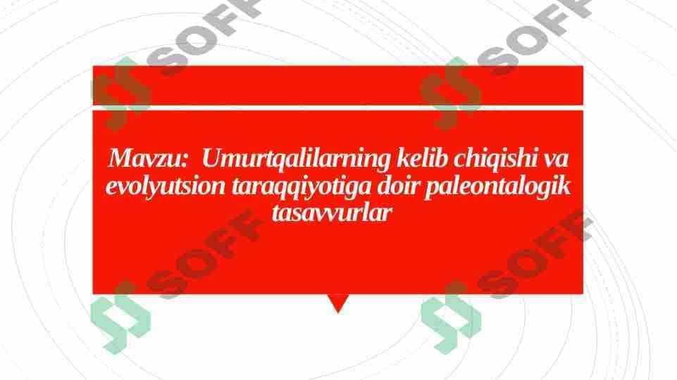 Umurtqalilarning kelib chiqishi va evolyutsion taraqqiyotiga doir paleontalogik tasavvurlar 1