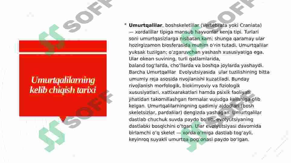 Umurtqalilarning kelib chiqishi va evolyutsion taraqqiyotiga doir paleontalogik tasavvurlar 3