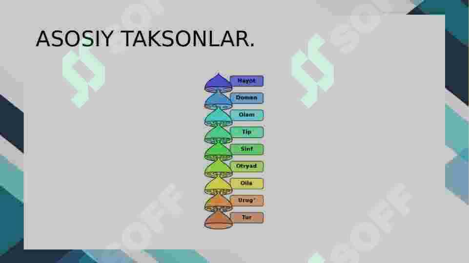 Hayvonlar sistematikasining maqsadi, uslublar ,qisqacha tarixi va uning òrni. 3