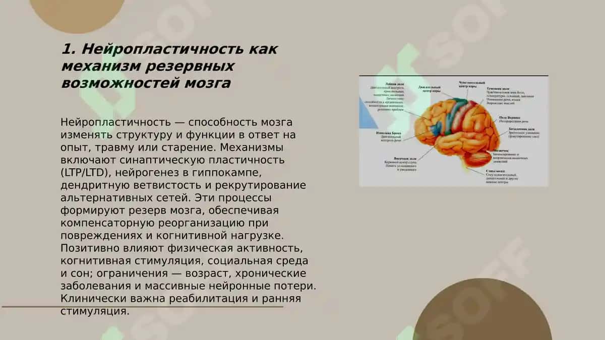 Резервные возможности человеческого организма (мозга) 3