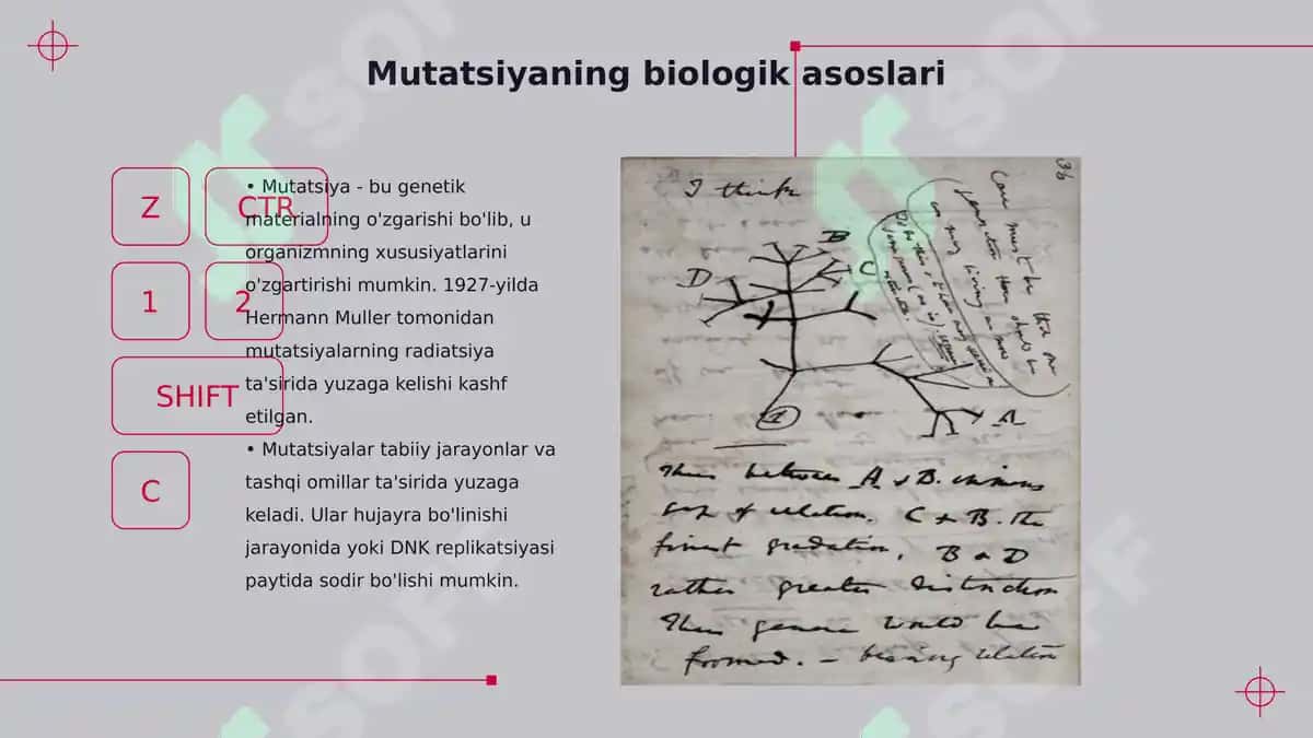 Mutatsiyalar: sabablari, shakllari, ahamiyati va biologik oqibatlari 3