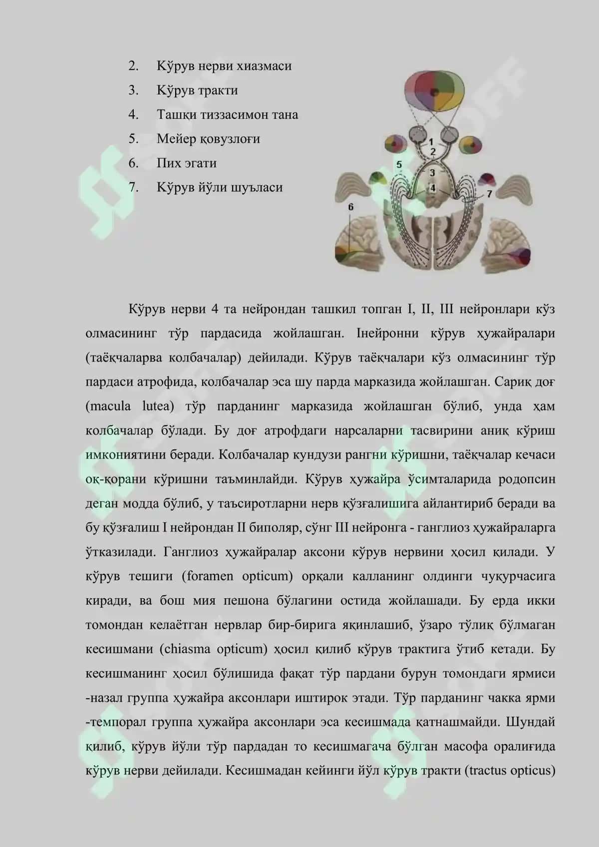 Бош мия нервлари: тузилиши, вазифаси, текшириш усуллари, патологияси ва зарарланиш синдромлари 5