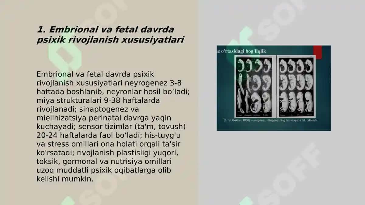 Ontogenezning ilk bosqichlaridan psixik rivojlanish xususiyatlari 3
