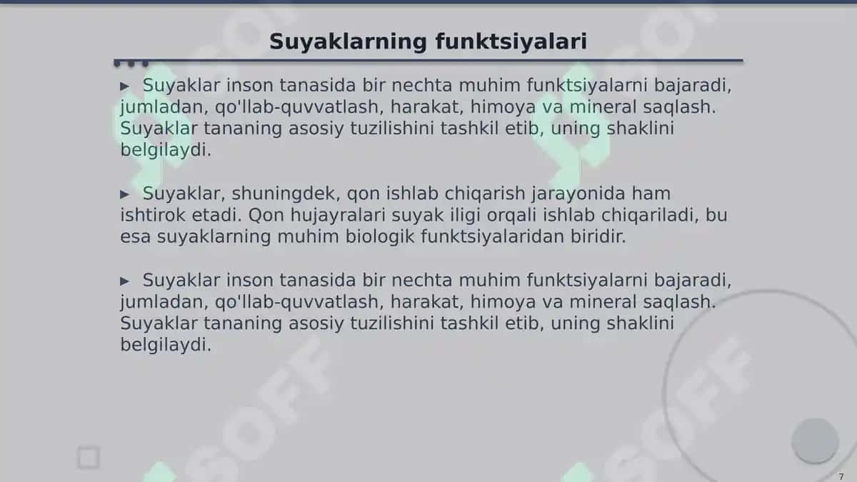 Inson Suyaklari Tuzilishi: Gavda, Qo'l, Oyoq va Bosh 7