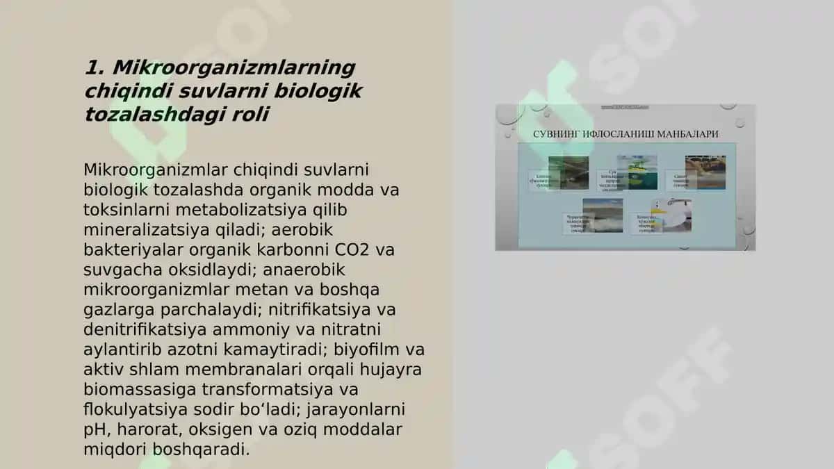 Chiqindi suvlarni mikroorganizmlar yordamida tozalash 3