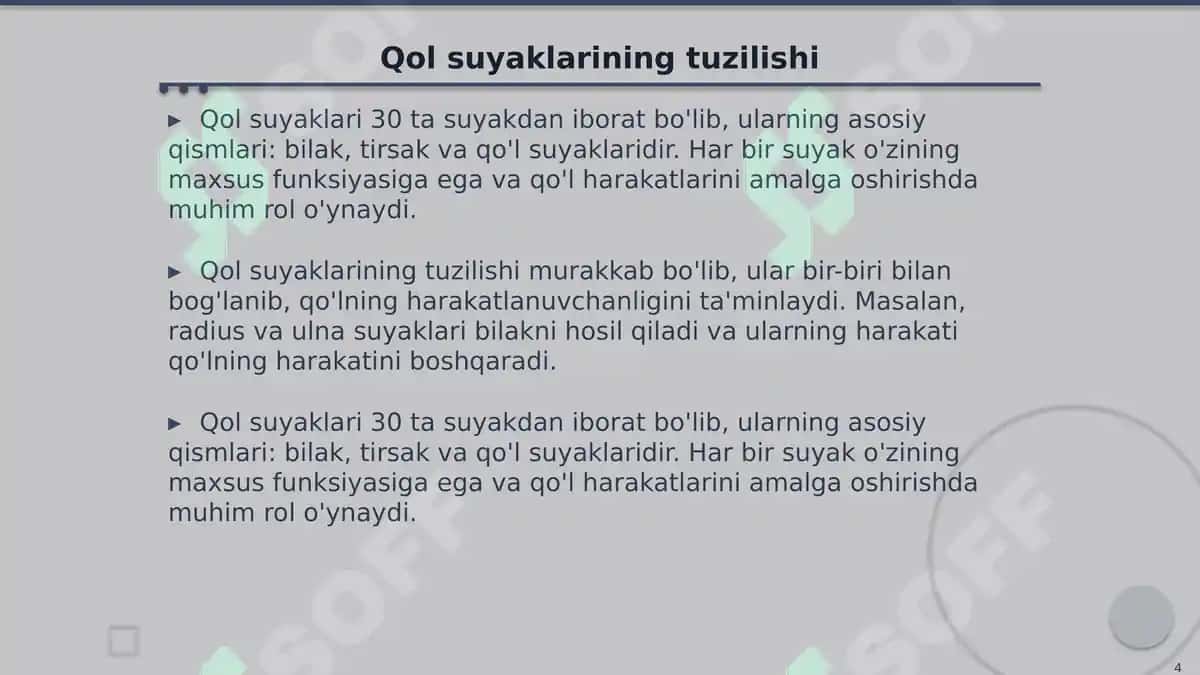 Inson Suyaklari Tuzilishi: Gavda, Qo'l, Oyoq va Bosh 4