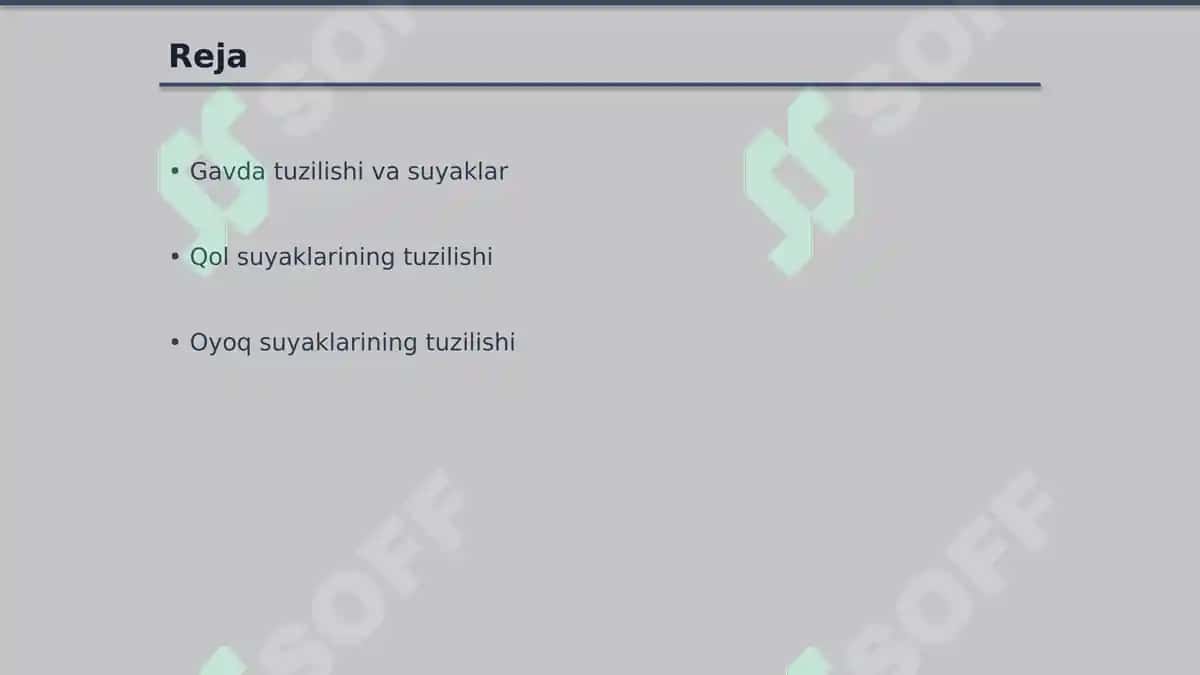 Inson Suyaklari Tuzilishi: Gavda, Qo'l, Oyoq va Bosh 2