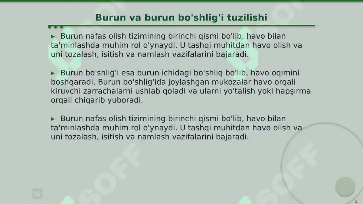 Nafas olish a'zolari topografiyasi 4