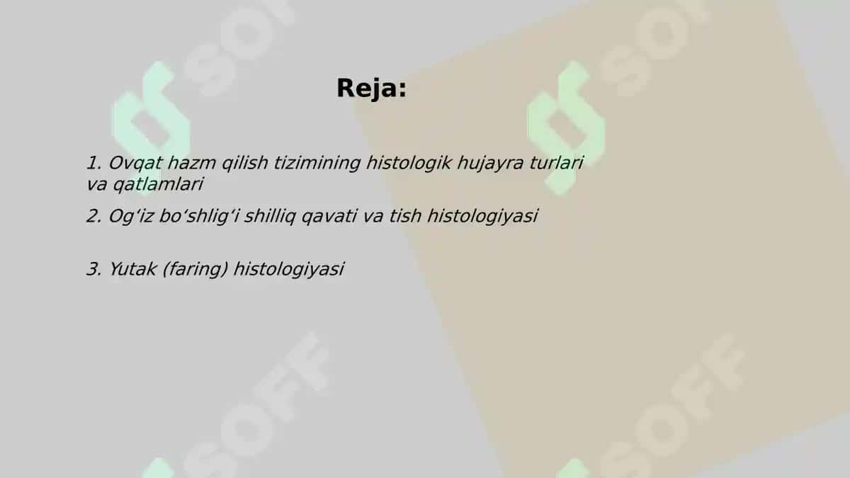 Ovqat hazm qilish gistologiyasi 2
