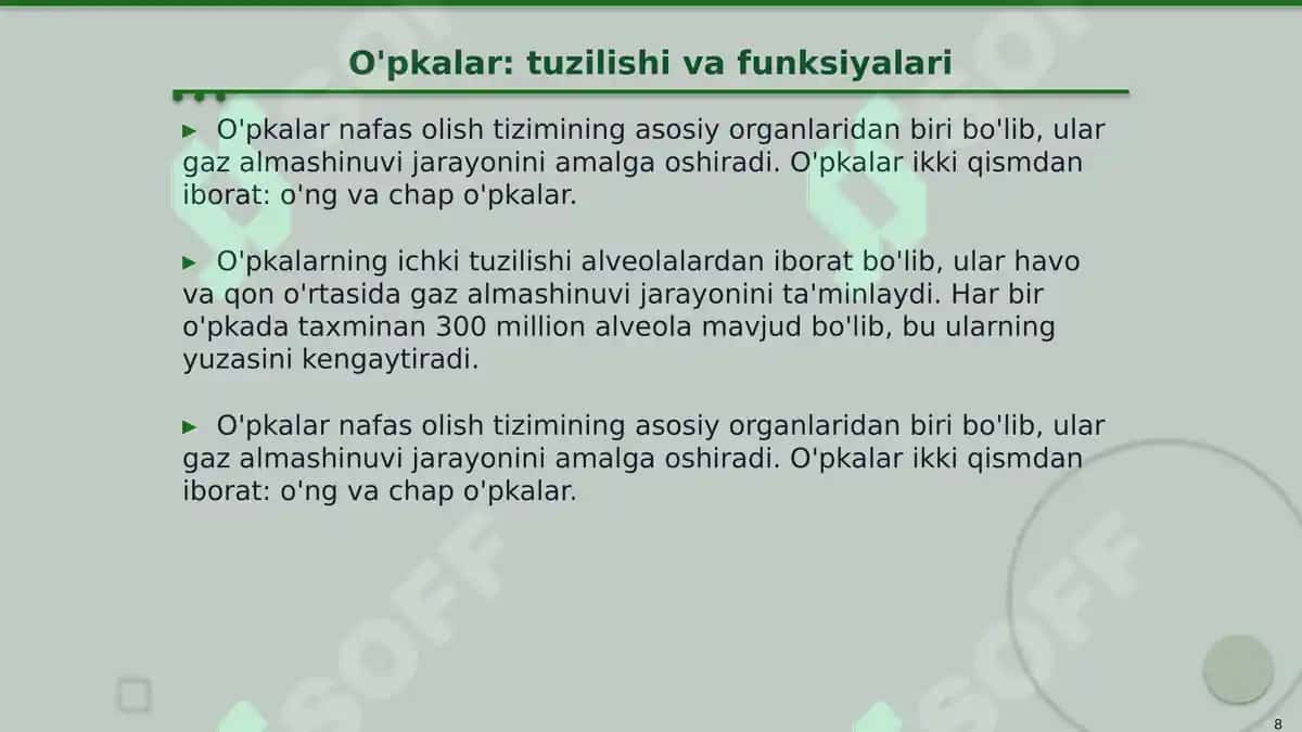 Nafas olish a'zolari topografiyasi 8