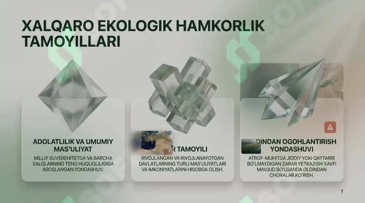 Ekologiya va tabiatni muhofaza qilish sohasida xalqaro hamkorlik 2