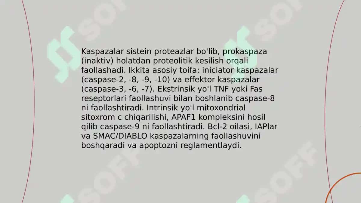Nekroz. Apoptoz. Hujayra shikastlanishining sababi. 8