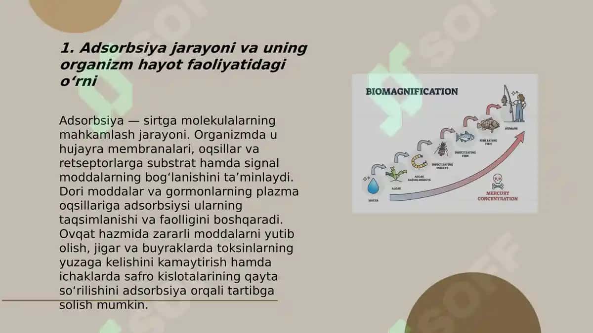 Organizmning hayot faoliyatida va davolash usullarida adsorbsiya jarayoning ahamiyati 3