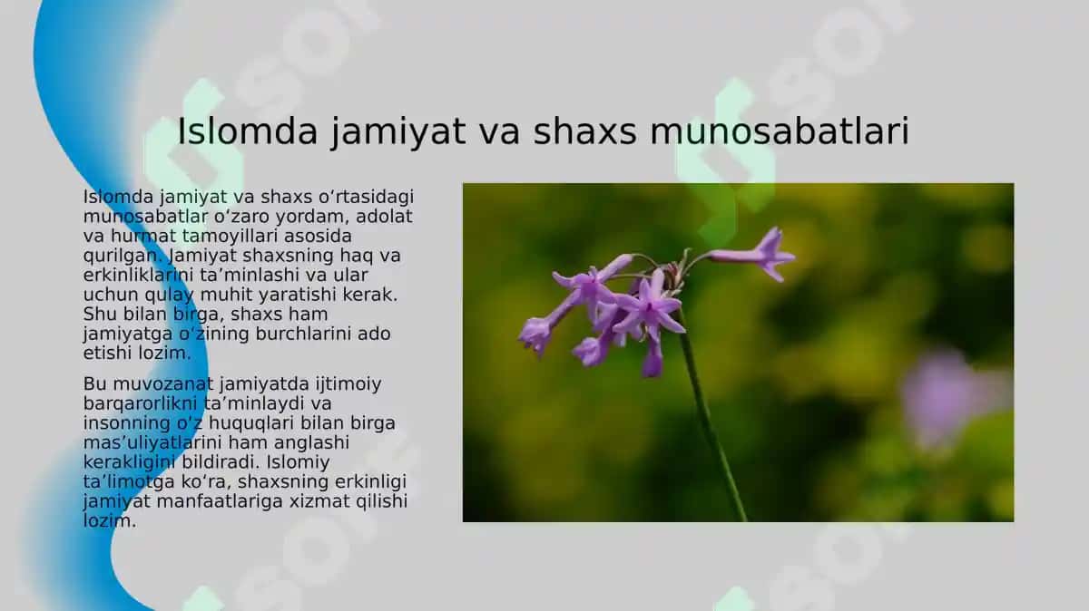 Islomda inson huquq va erkinliklarini taʼminlashning oʻziga xos jihatlari 8