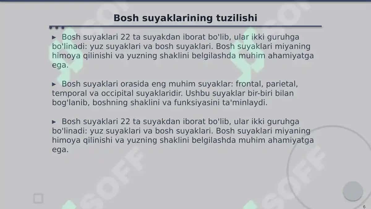 Inson Suyaklari Tuzilishi: Gavda, Qo'l, Oyoq va Bosh 6