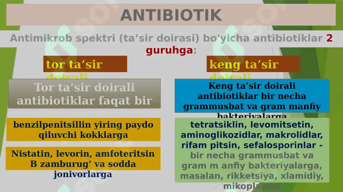 4-dars: Kimyoterapevtik preparatlar va antibiotiklar 6
