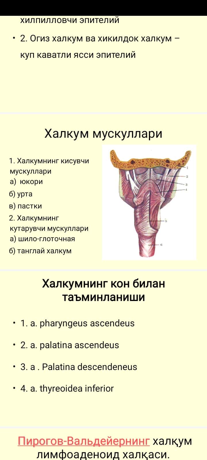 4-Halqum_o'tk_va_surun_kass