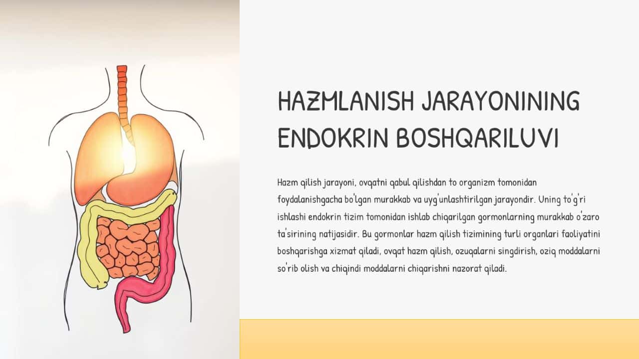HAZMLANISH JARAYONINING ENDOKRIN BOSHQARILUVI