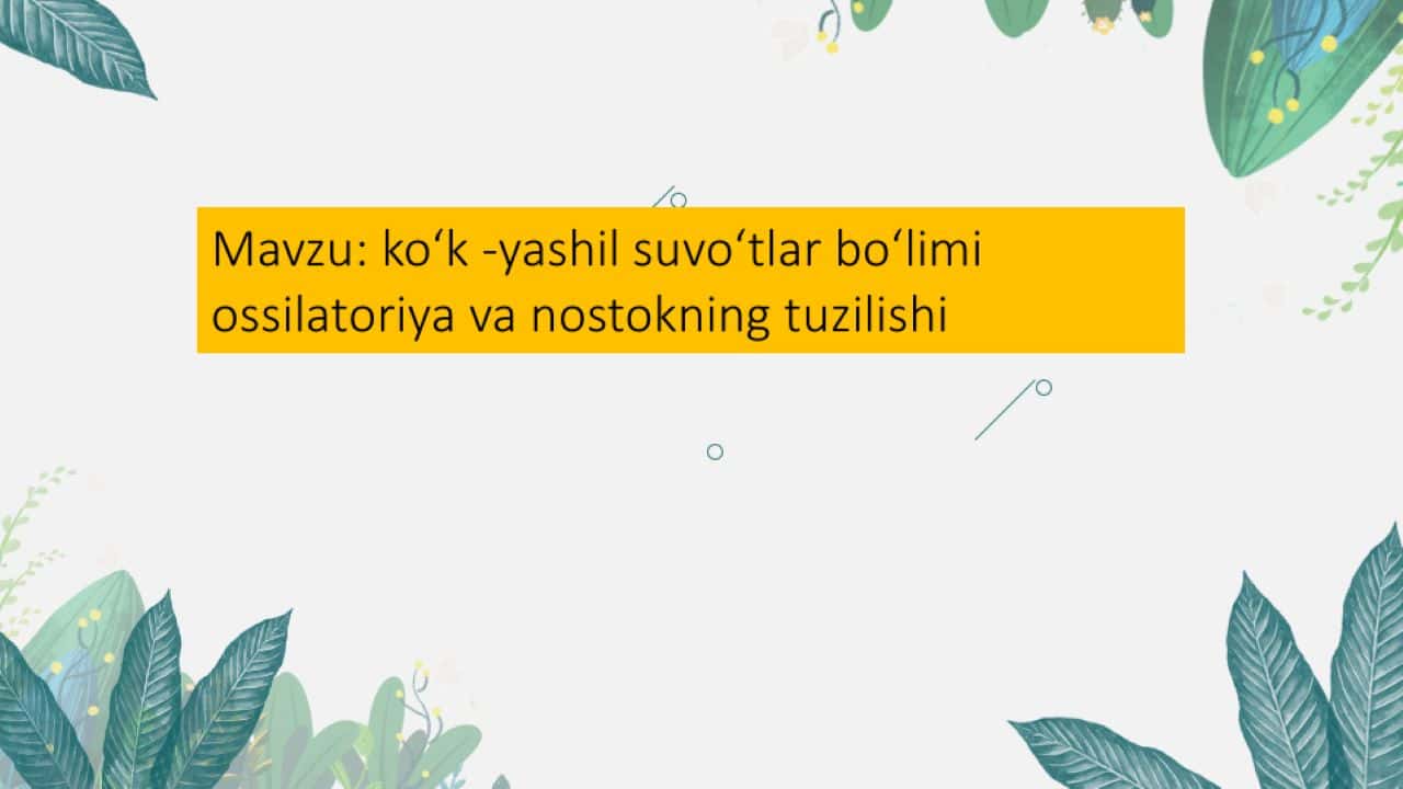 INTEGRAL XIZMATLARNING HAQIDA UMUMIY MALUMOT