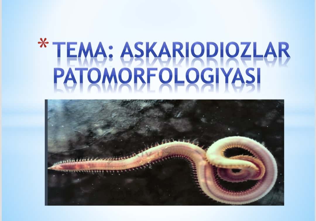 Askariodiozlar patomorfologiyasI