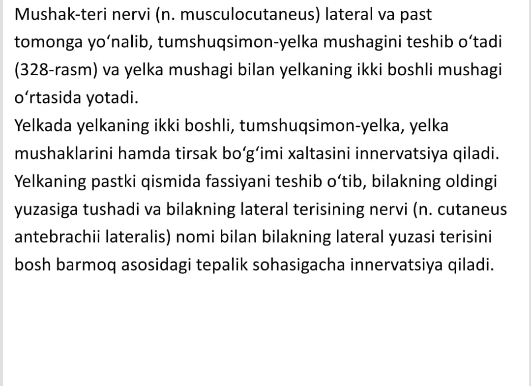 Yelka chigali uzun tarmoqlar va qo'l terisi inervatsiyasi