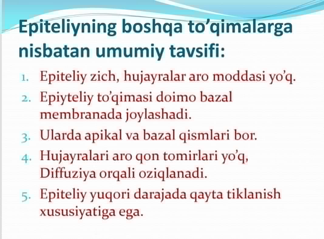 Epiteliy to'qimasi va bezlar