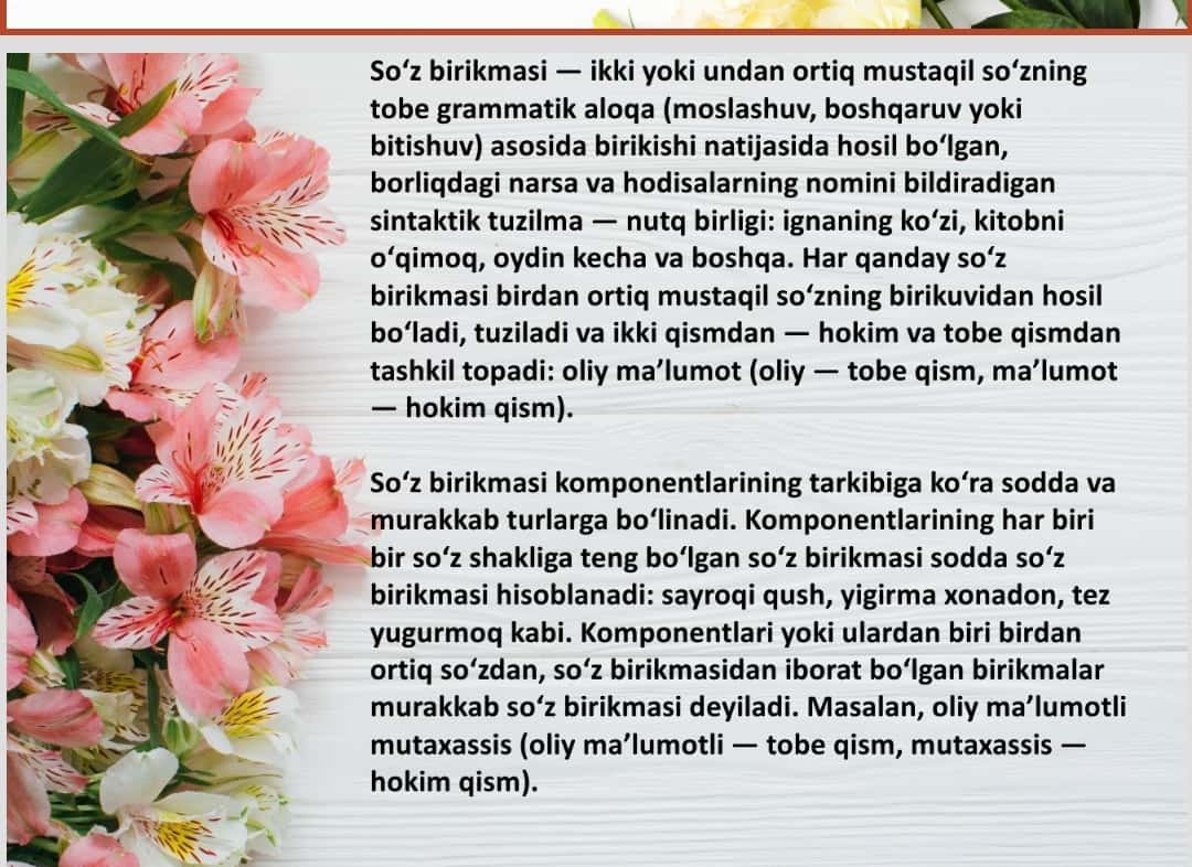 So’z birikmasi va gap ustida ishlash
