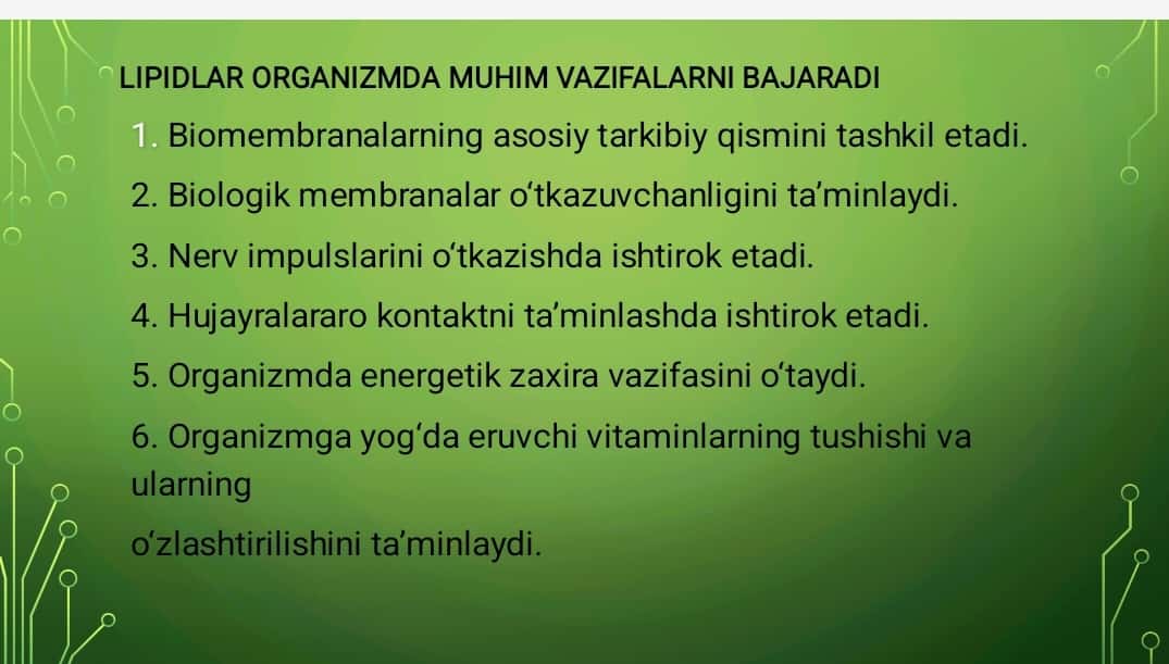 Lipidlarning tuzilishi, funksiyasi va metabolizmi
