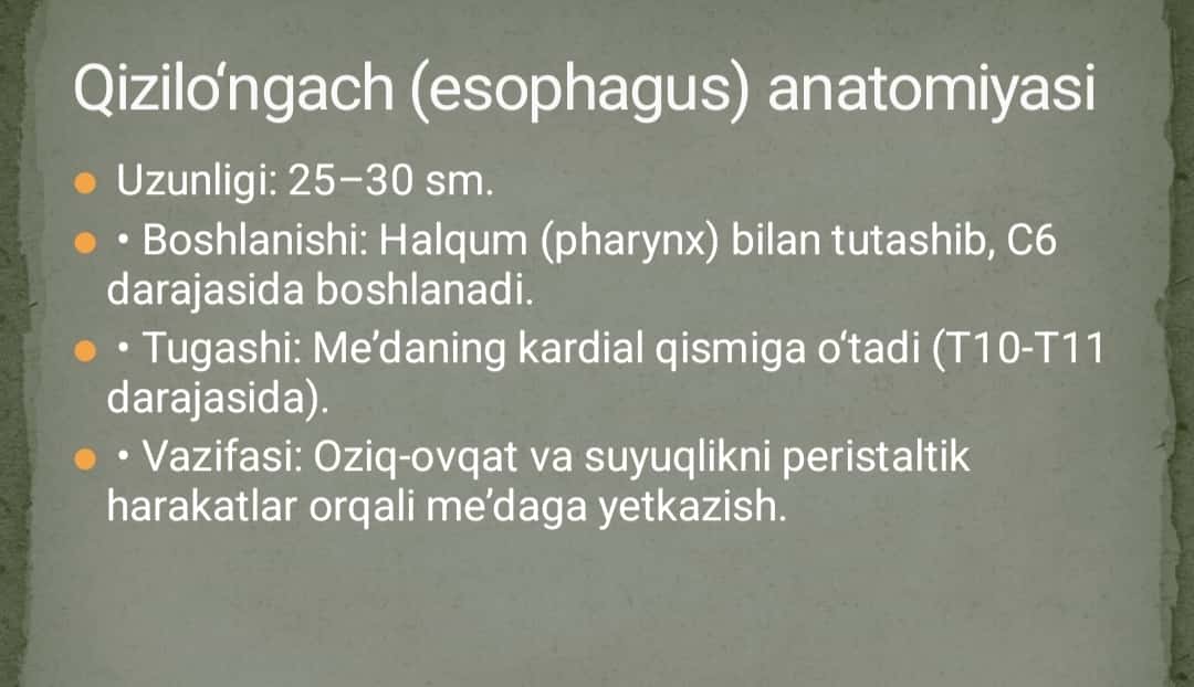 Qizilo‘ngachning tug‘ma va orttirilgan nuqsonlarida bajariladigan operatsiyalar
