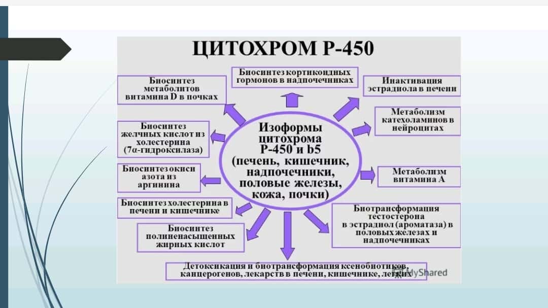 Mavzu: Sitoxrom P450 induktorlari va ingibitorlari klinikada qo’llanilishi. Sitoxrom P450 geni polimorfizmi, davolashning personifikatsiya asoslari. Etanol metobolizmi. ALDG fermentining izoformalari.