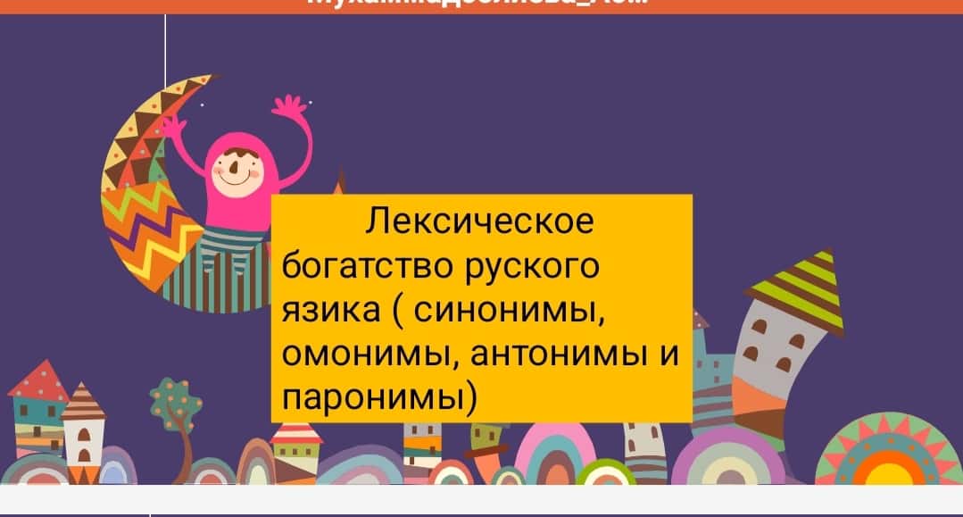 Лексическое богатство руского язика ( синонимы, омонимы, антонимы и паронимы)