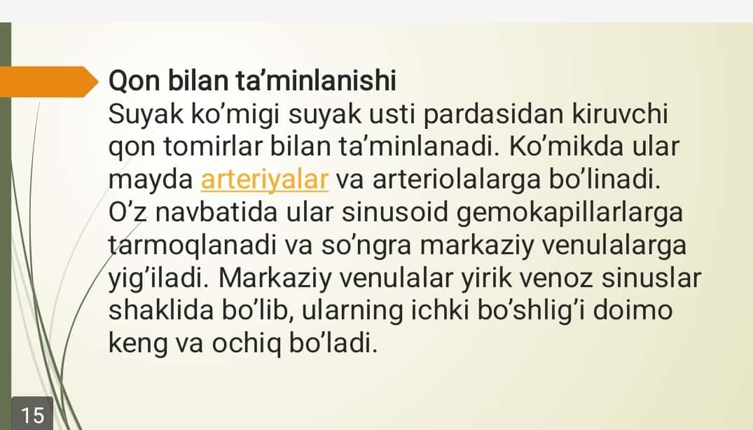 Suyak koʻmigi: rivojlanishi, tuzilishi va vazifasi. Qizil suyak koʻmigi, Sariq suyak koʻmigi