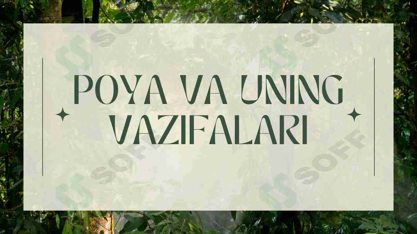 Poya va uning vazifalari