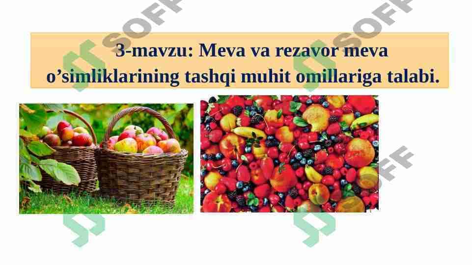 Meva va rezavor meva o’simliklarining tashqi muhit omillariga talabi.