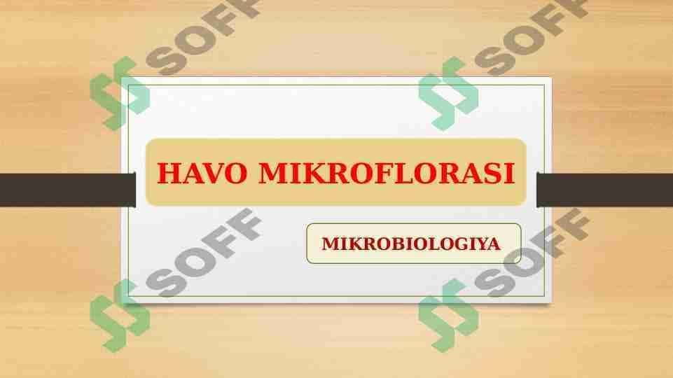 HAVO MIKROFLORASi