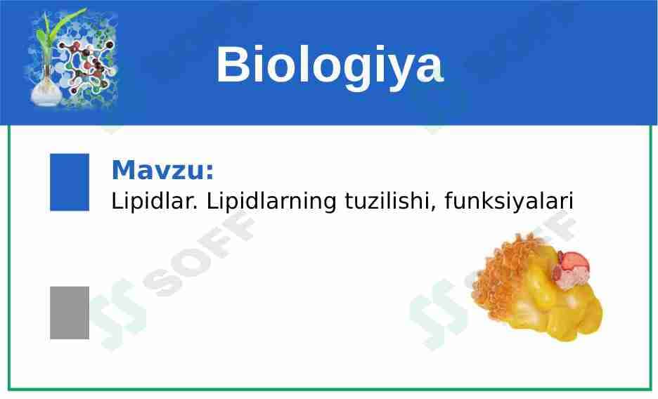 Lipidlarning tuzilishi, funksiyalari