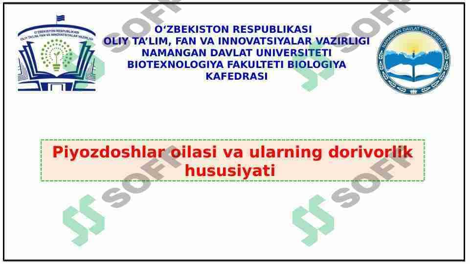 Piyozdoshlar oilasi va ularning dorivorlik hususiyati